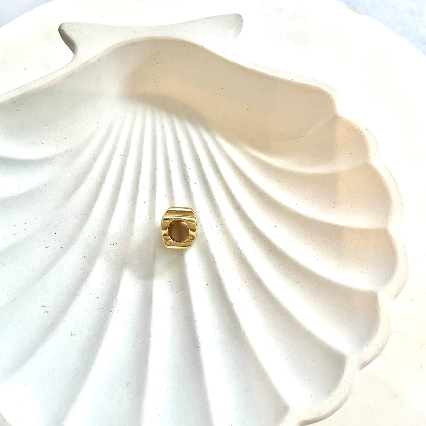 Charm Circones Huellita Rodio