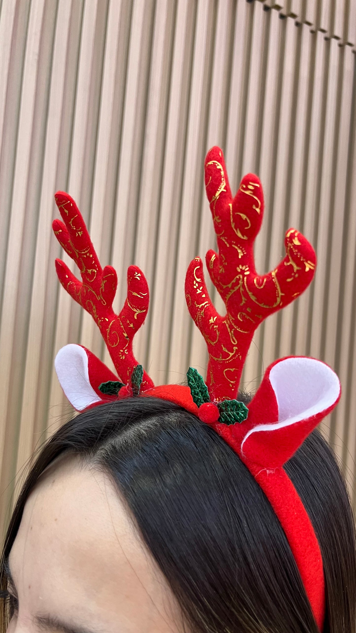 Diadema Renito Orejitas