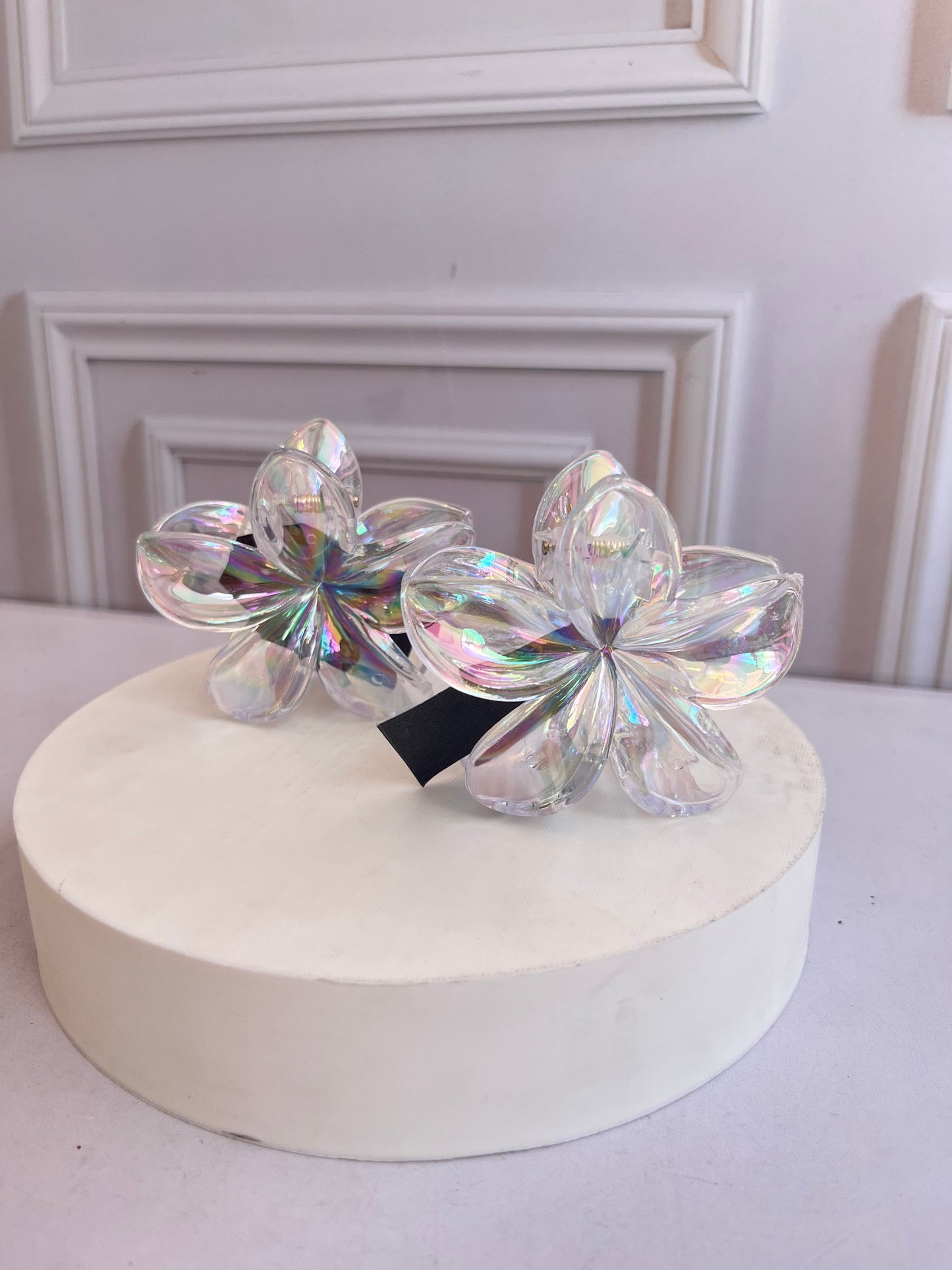 Caimán Hawaiano Tornasol