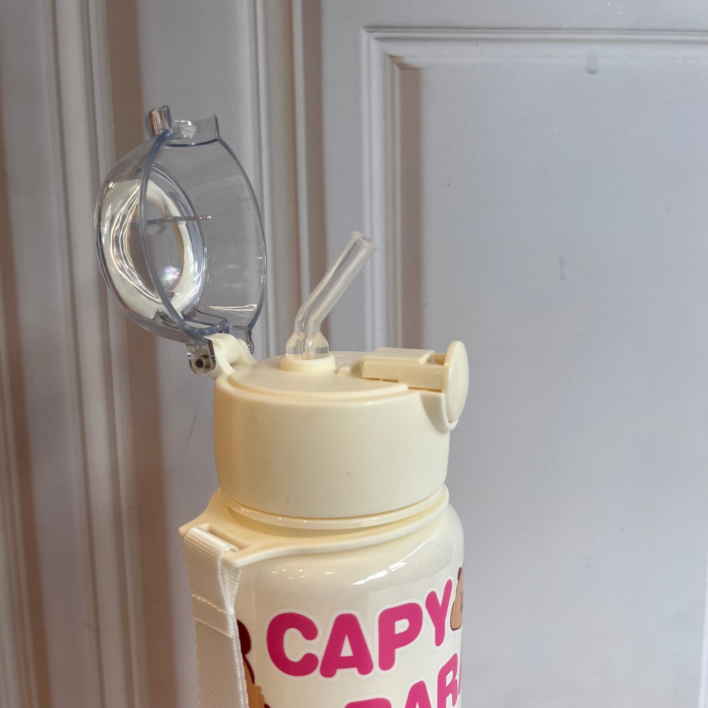 Termo Capibara Surtido