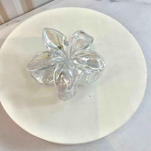 Caimán Tornasol Hawaiano